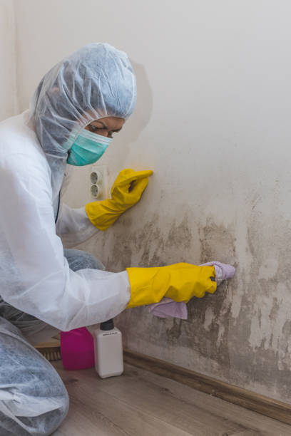 Best Mold Prevention Services  in Oxoboxo River, CT